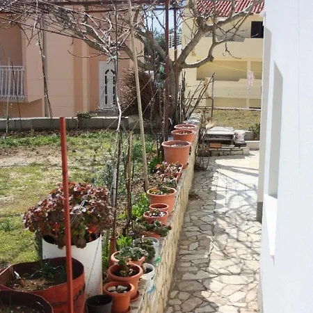 דירה Nemira 6070d Tice